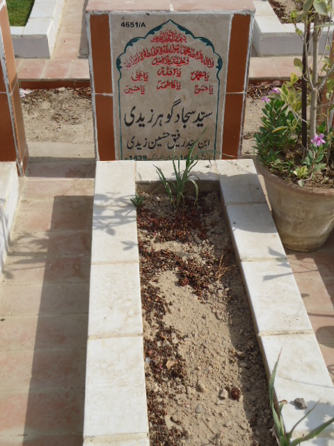 14651 – Syed Sajjad Gohar Zaidi