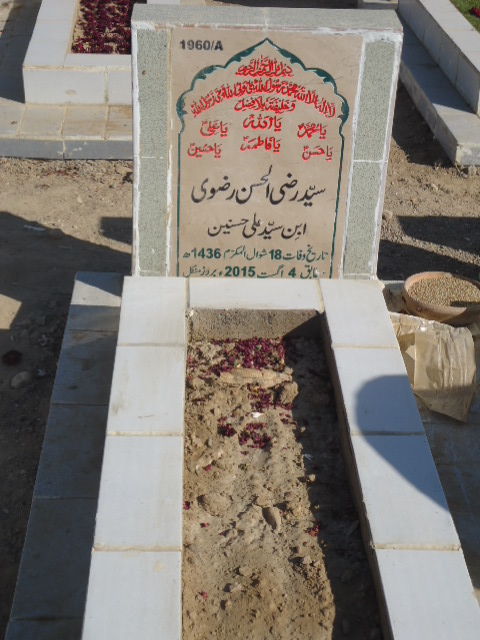 11960 – Syed Razi Ul Hasan Rizvi