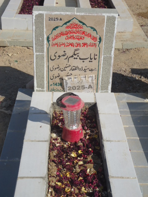 12025 – Nayab Begum Rizvi