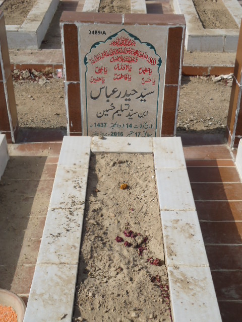 13489 – Syed Haider Abbas