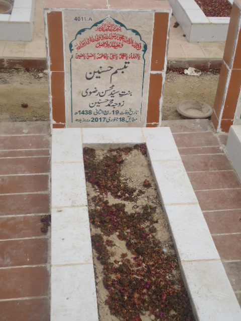 14011 – Tabassum Hasnain