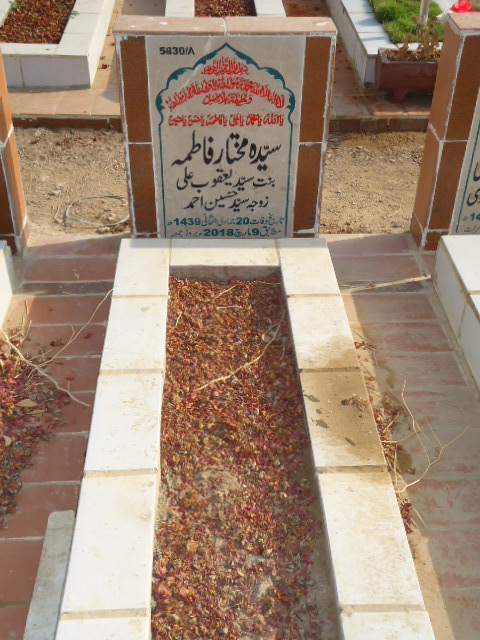 15830 – Syeda Mukhtar Fatima