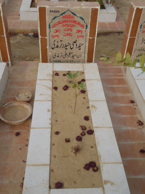 15420 – Syed Wasi Haider Termizi