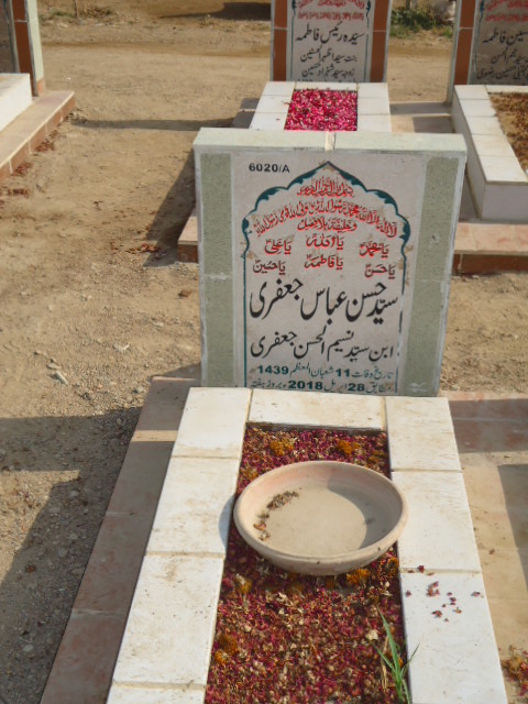 16020 – Syed Hassan Abbas Jaffery