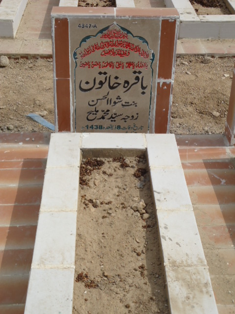 14847 – Baqara Khatoon