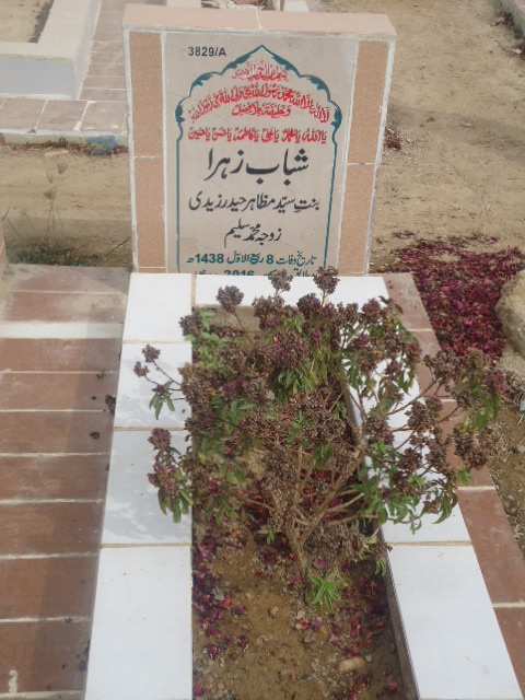 13829 – Shabab Zehra