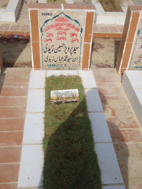 15208 – Syed Parveez Hussain Zaidi