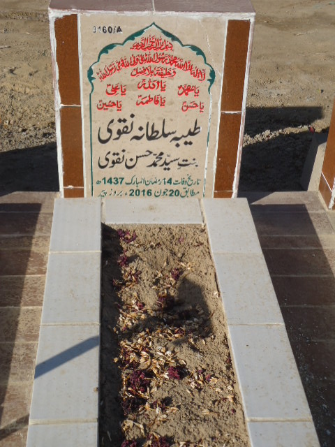 13160 – Tayyeba Sultana Naqvi