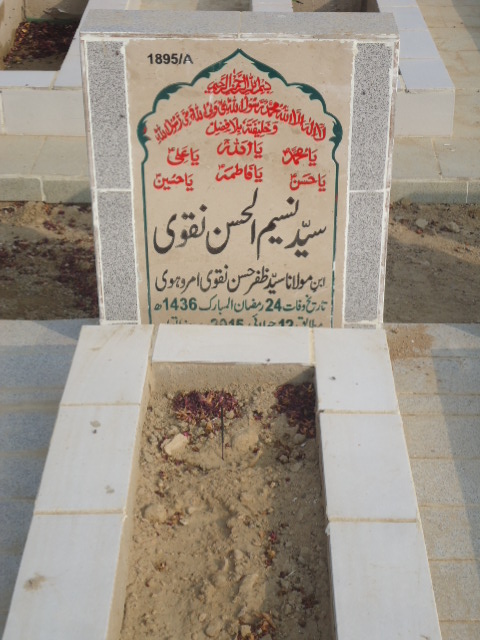 11895 – Syed Naseem Ul Hasan Naqvi