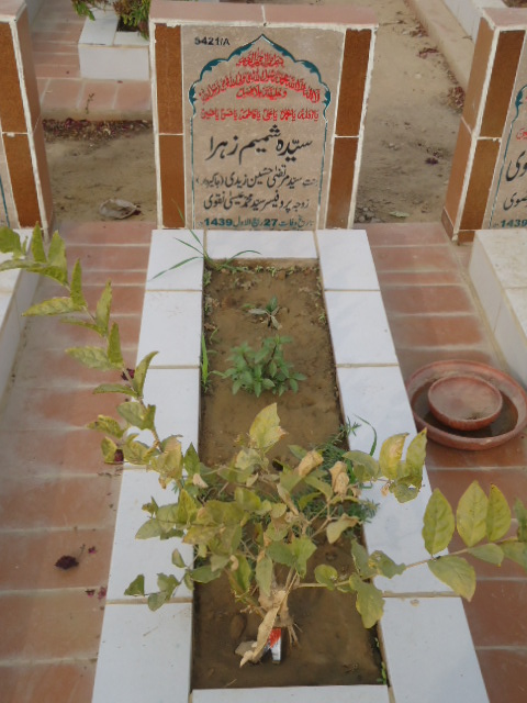 15421 – Syeda Shamim Zehra