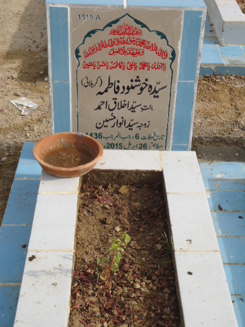 11519 – Syeda Khushnood Fatima