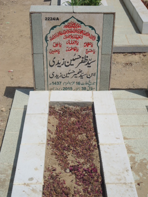 12224 – Syed Zafar Hussain Zaidi