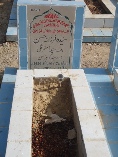 11459 – Syeda Farzana Hasan