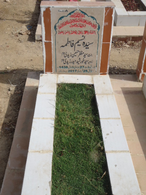 14206 – Syeda Naseem Fatima