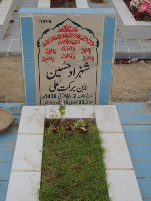 11197 – Shahzad Hussain