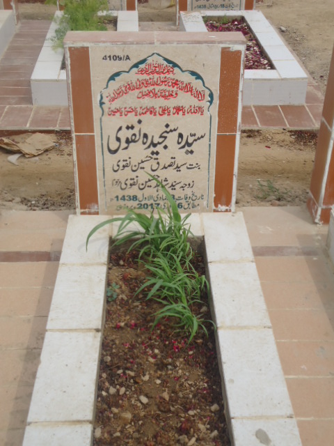 14109 – Syeda Sanjeeda Naqvi