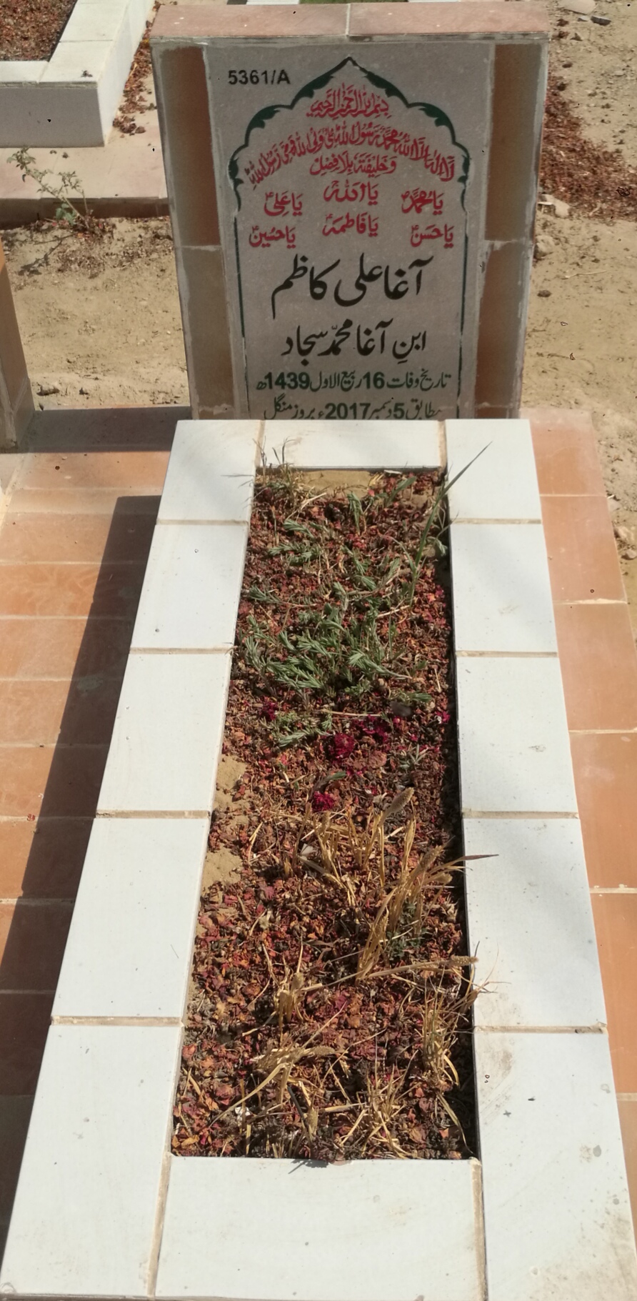 15361 – Agha Ali Kazim