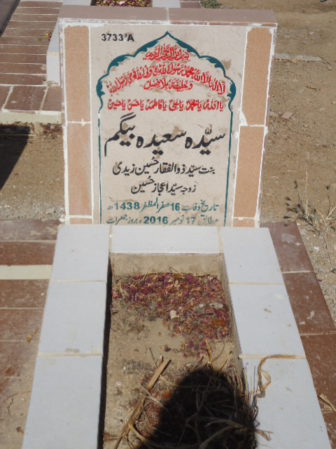 13733 – Syeda Saeeda Begum
