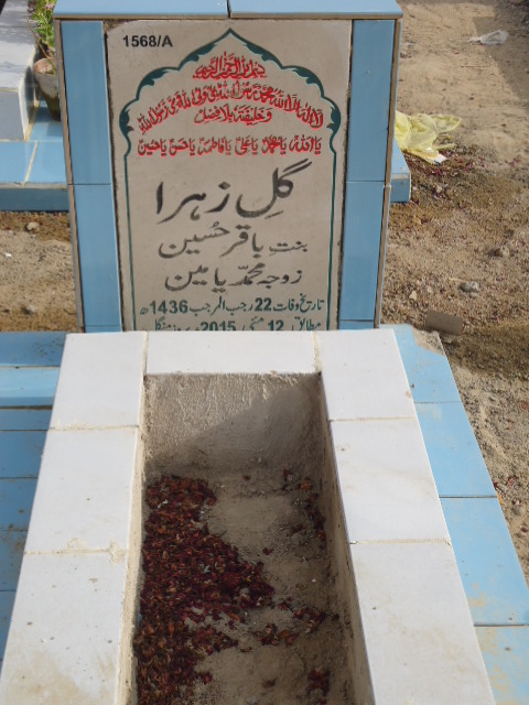 11568 – Gul E Zehra