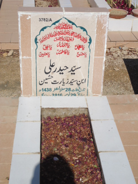 13782 – Syed Haider Ali