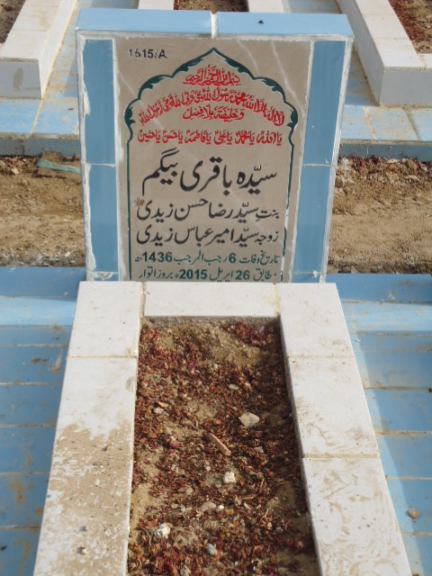 11515 – Syeda Baqari Begum