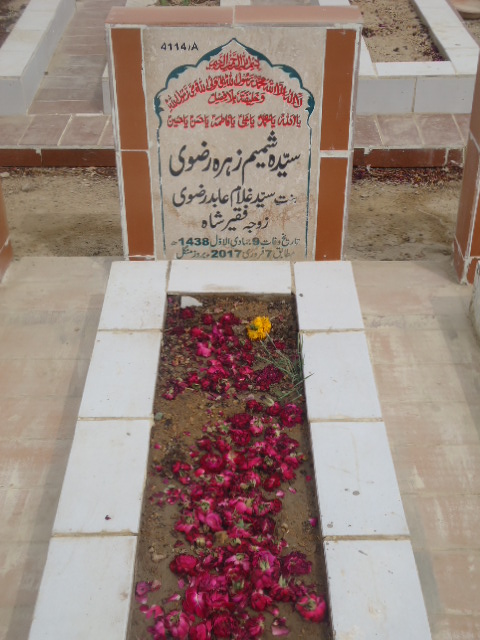 14114 – Syeda Shamim Zehra Rizvi