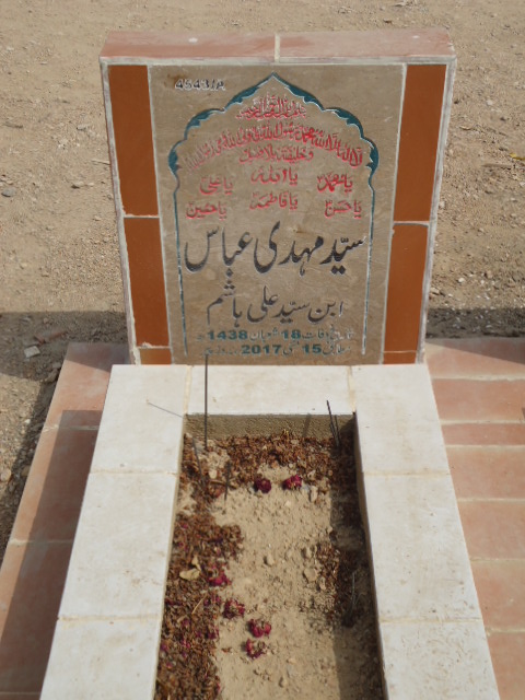 14543 – Syed Mehdi Abbas