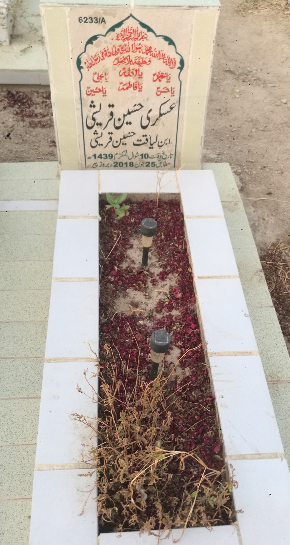 16233 – Askari Hussain Qureshi