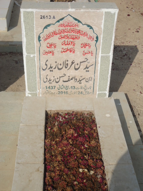 12613 – Syed Hasan Irfan Zaidi