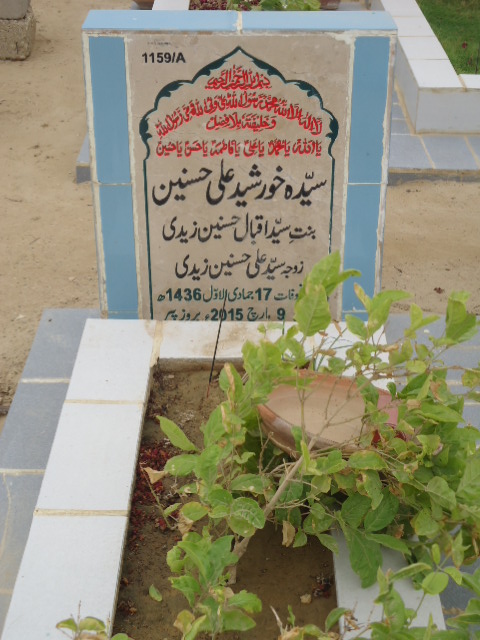 11159 – Syeda Khursheed Ali Hasnain