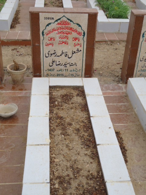 13381 – Mashal Fatima Rizvi