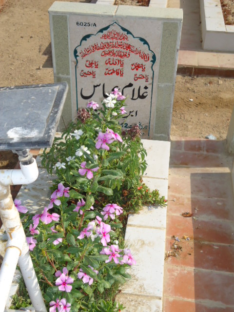 16025 – Ghulam Abbas