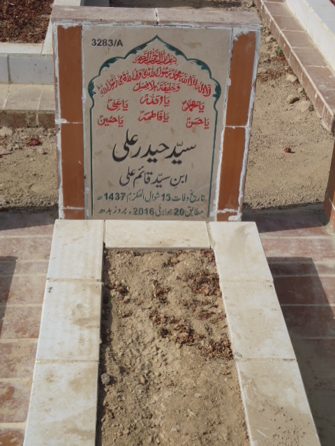 13283 – Syed Haider Ali