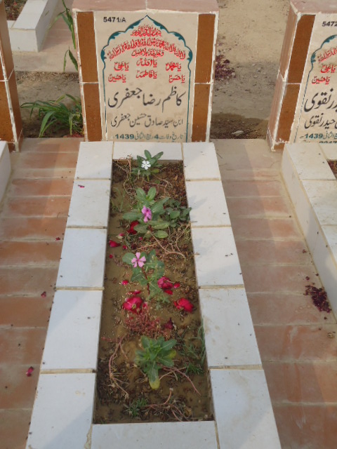 15471 – Kazim Raza Jaffery