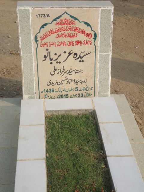 11773 – Syeda Aziz Bano