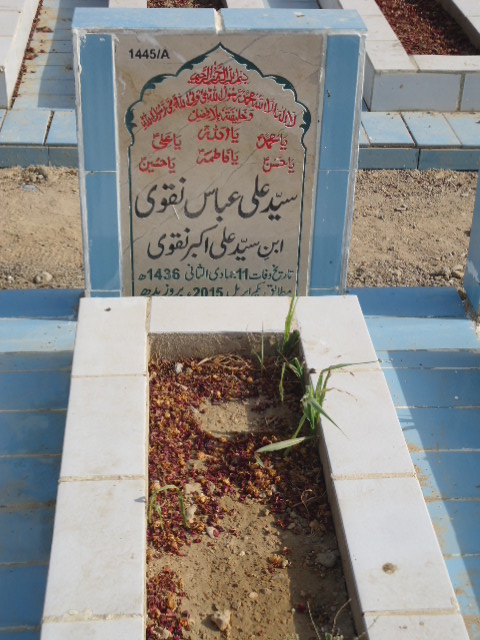 11445 – Syed Ali Abbas Naqvi