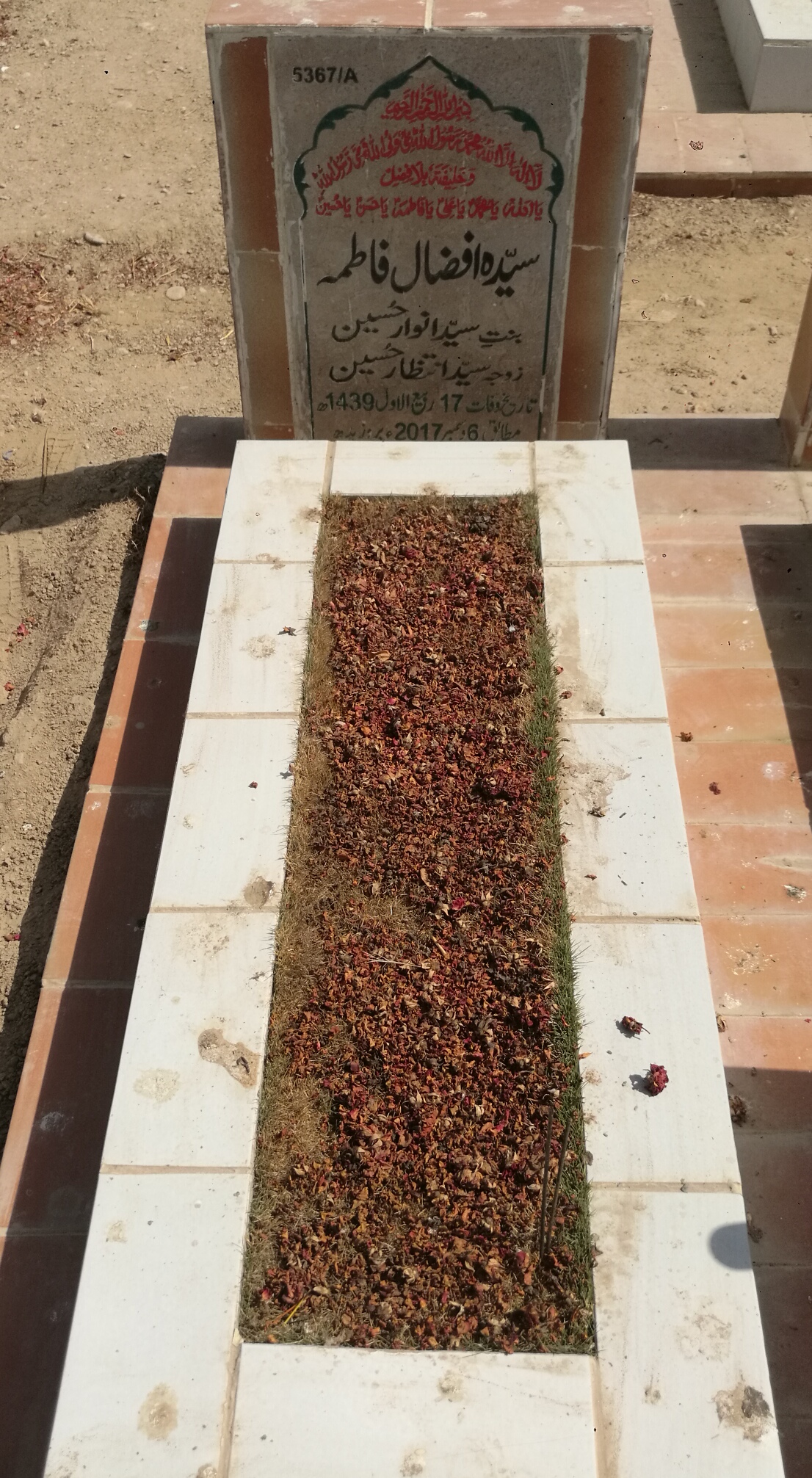 15367 – Syeda Afzaal Fatima