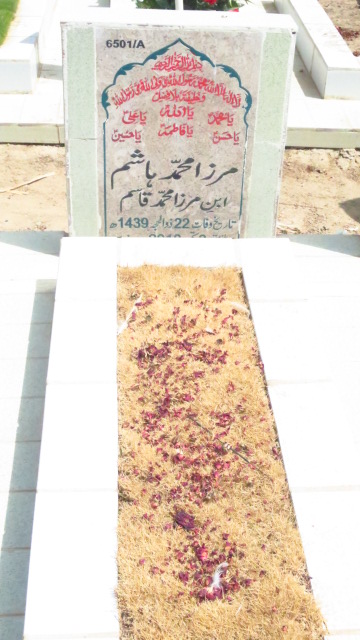 16501 – Mirza Muhammad Hashim