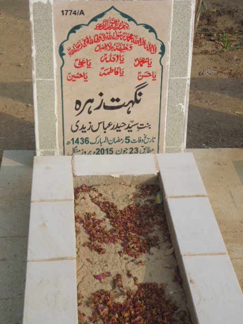 11774 – Nighat Zehra