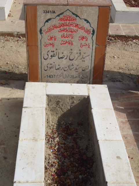 13341 – Syed Farrukh Raza Naqvi