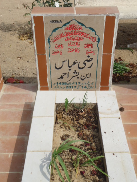 14535 – Razi Abbas