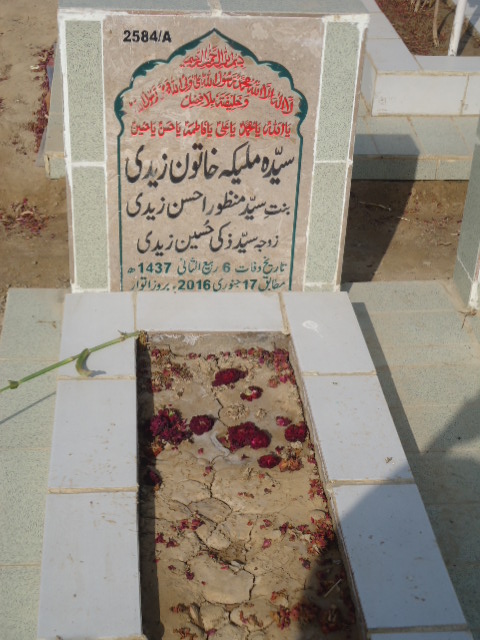 12584 – Syeda Malika Khatoon Zaidi