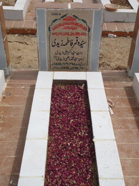 13596 – Syeda Qamar Fatima Zaidi
