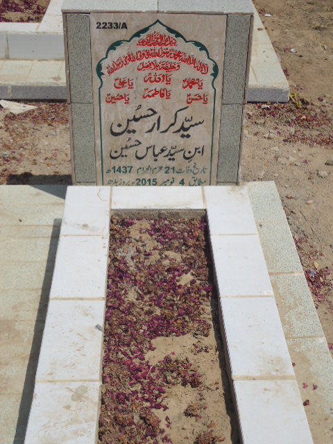 12233 – Syed Karar Hussain