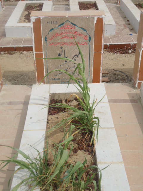 14152 – Mehar Bano