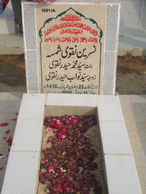 11891 – Nasreen Naqvi Shamsa