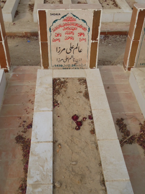15404 – Alam Ali Mirza