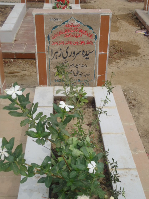 14100 – Syeda Serwari Zehra