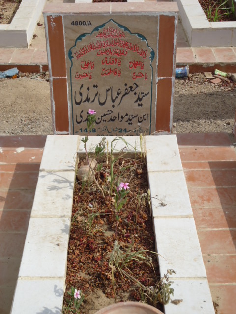 14800 – Syed Jaffar Abbas