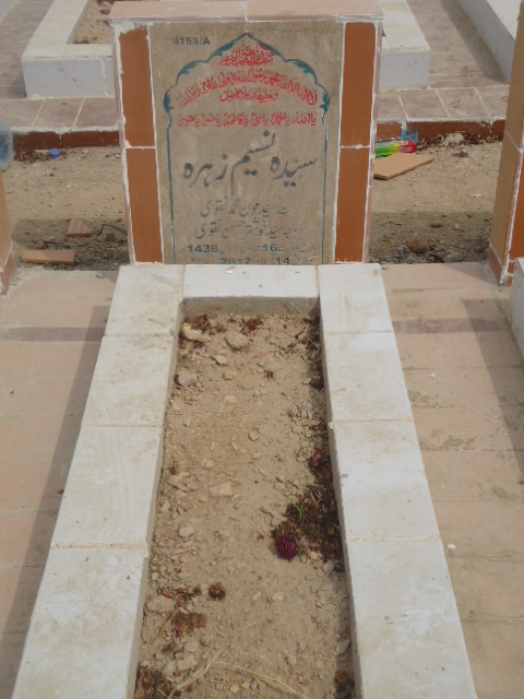 14153 – Syeda Naseem Zehra